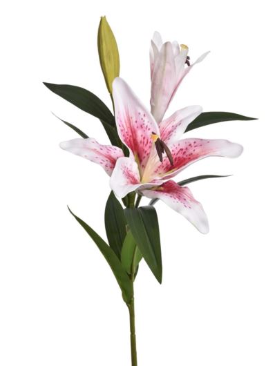 LILIA GAŁĄZKA 76CM PIANKA LEV035 WHITE PINK