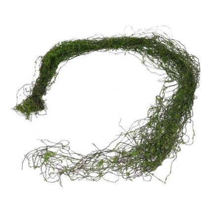 LIANA - POWÓJ GIRLANDA Z MCHEM 125CM LT GREEN
