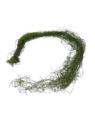 LIANA - POWÓJ GIRLANDA Z MCHEM 125CM LT GREEN