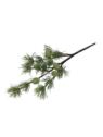 MODRZEW Z SZYSZKAMI GAŁĄZKA 75CM POWDER GREEN
