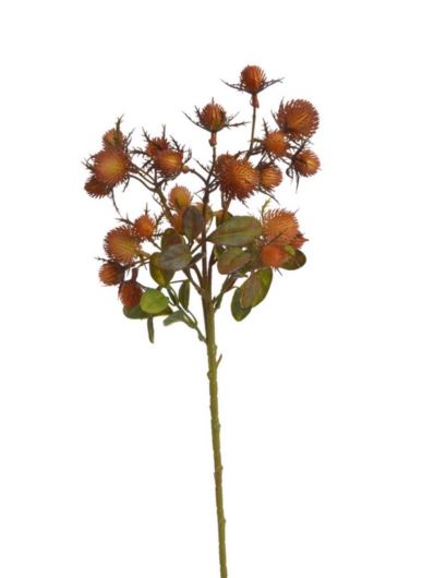 OSTY NA GAŁĄZCE - DODATEK 48CM BROWN