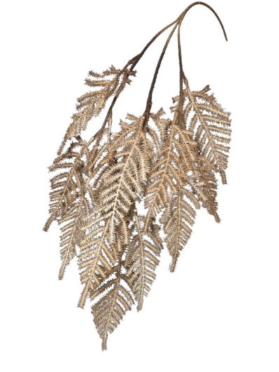 PAPROTKA ASPARAGUS GAŁĄZKA 78CM LT BROWN