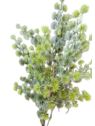 BUKIET CIS 54CM 7 GAŁĄZEK CV39552 LT GREEN