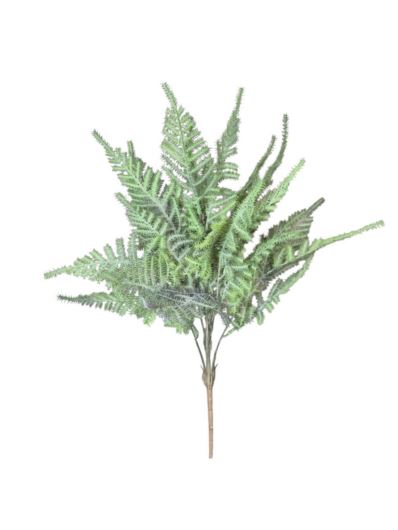 PAPROTKA ASPARAGUS BUKIET CV41282 POWDER GREEN