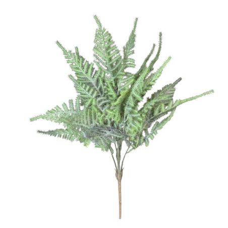PAPROTKA ASPARAGUS BUKIET CV41282 POWDER GREEN