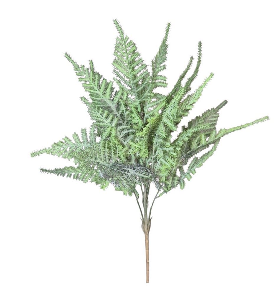 PAPROTKA ASPARAGUS BUKIET CV41282 POWDER GREEN