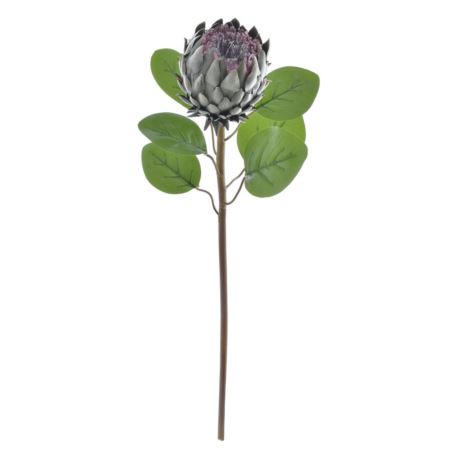 PROTEA POJEDYNCZA 76CM PAT001 PINK DR GREEN