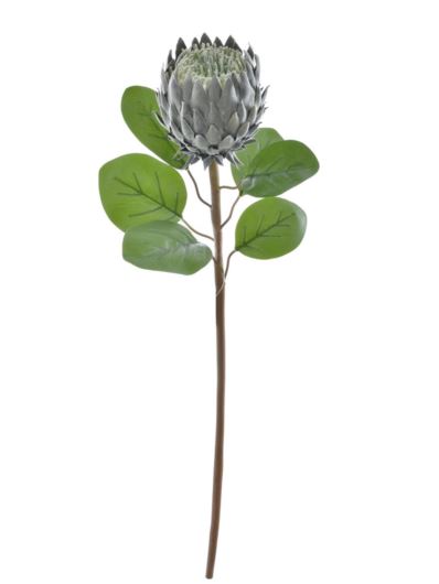 PROTEA POJEDYNCZA 76CM PAT001 LT GREEN DR GREEN