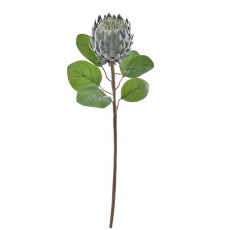 PROTEA POJEDYNCZA 76CM PAT001 LT GREEN DR GREEN