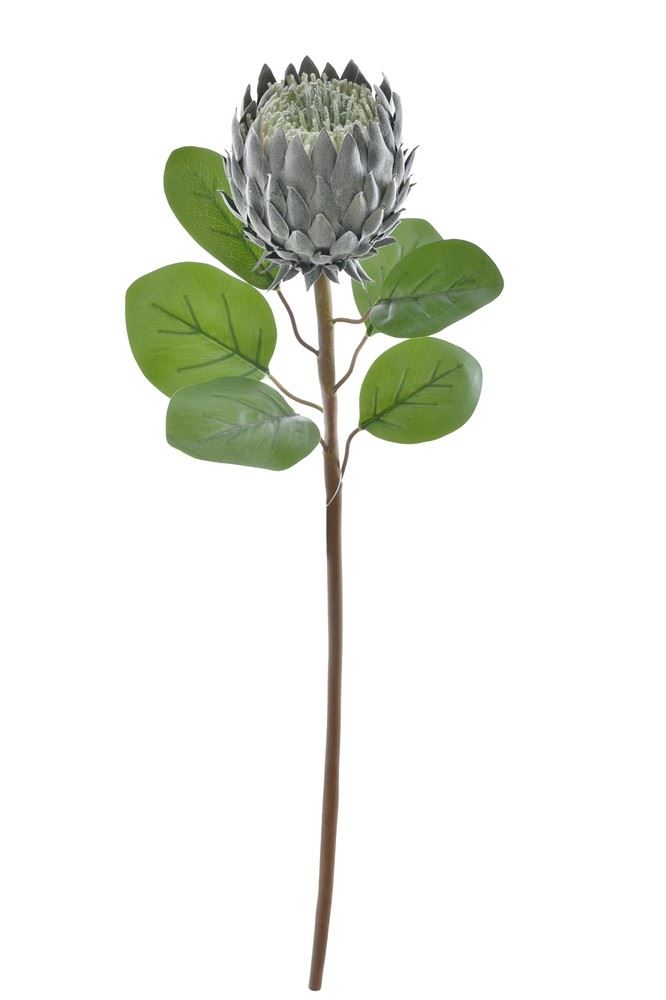 PROTEA POJEDYNCZA 76CM PAT001 LT GREEN DR GREEN