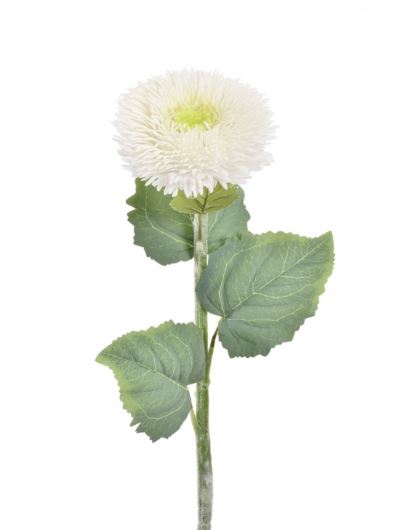 SŁONECZNIK POJEDYNCZY TPY1007 RT WHITE