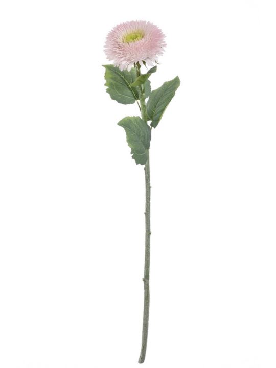 SŁONECZNIK POJEDYNCZY TPY1007 RT LT PINK