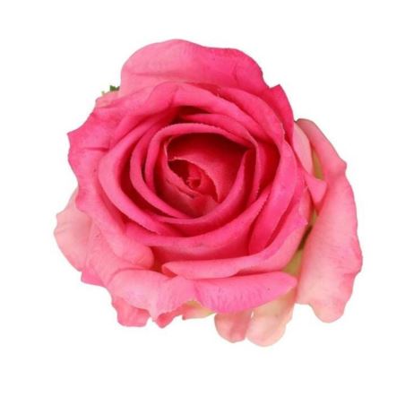 RÓŻA GŁÓWKA PĄK 7CM NATURAL TOUCH BEAUTY PINK