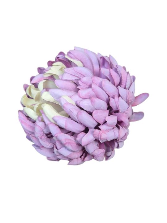 CHRYZANTEMA 12CM KCH30 TF026 GREEN LT.VIOLET