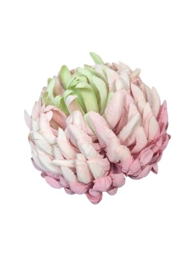 CHRYZANTEMA 12CM KCH30 TF062 GREEN LT.PINK