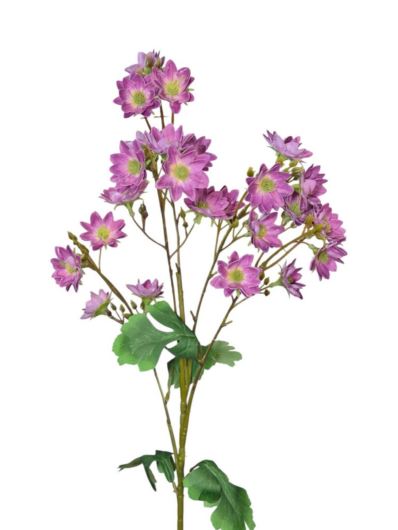 MARGARETKA JESIENNA 80CM PURPLE