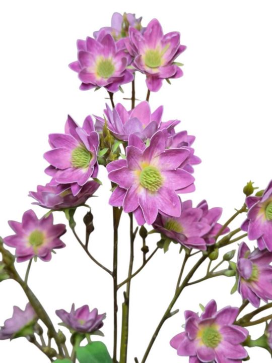 MARGARETKA JESIENNA 80CM PURPLE