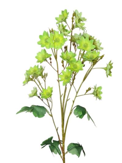 MARGARETKA JESIENNA 80CM LT GREEN