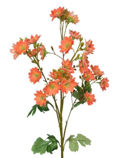 MARGARETKA JESIENNA 80CM ORANGE