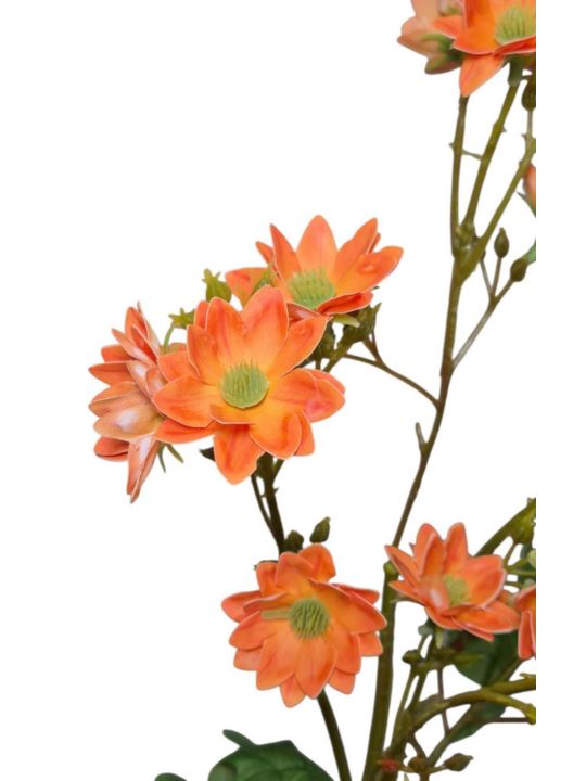MARGARETKA JESIENNA 80CM ORANGE