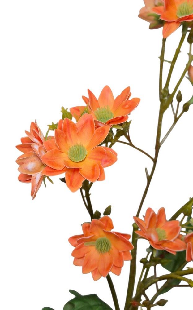 MARGARETKA JESIENNA 80CM ORANGE