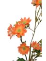 MARGARETKA JESIENNA 80CM ORANGE
