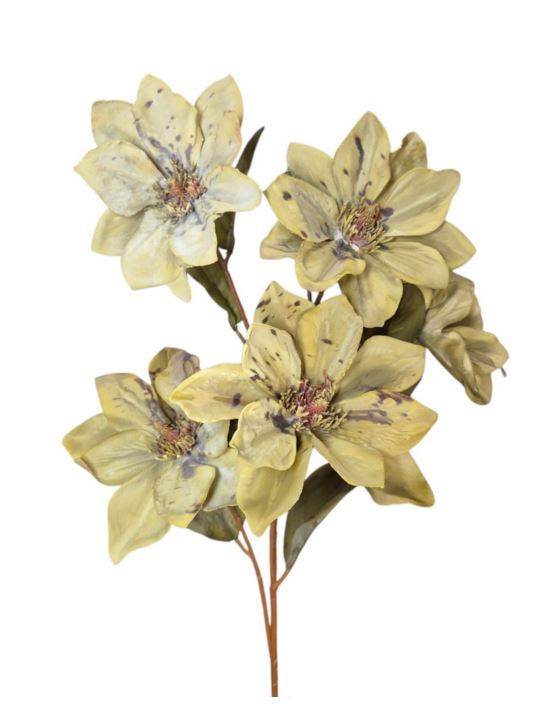 MAGNOLIA JESIENNA 68CM DIRTY GREEN