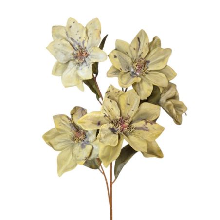 MAGNOLIA JESIENNA 68CM DIRTY GREEN
