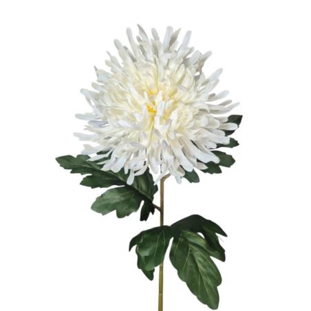 CHRYZANTEMA PŁASKA NA ŁODYDZE 65CM CREAM
