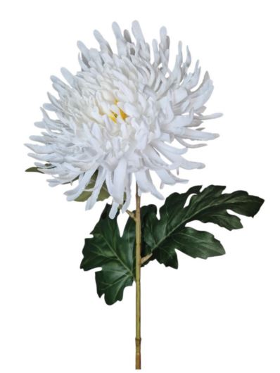 CHRYZANTEMA NA ŁODYDZE 65CM WHITE