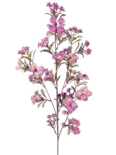 KRWAWNIK POSPOLITY 87CM PURPLE
