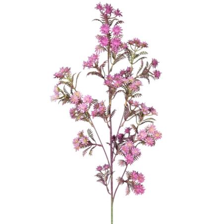 KRWAWNIK POSPOLITY 87CM PURPLE