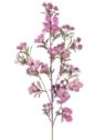 KRWAWNIK POSPOLITY 87CM PURPLE