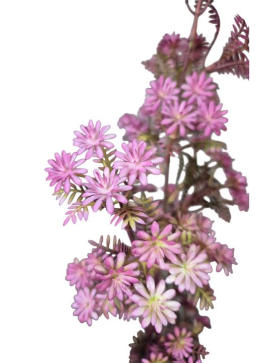KRWAWNIK POSPOLITY 87CM PURPLE