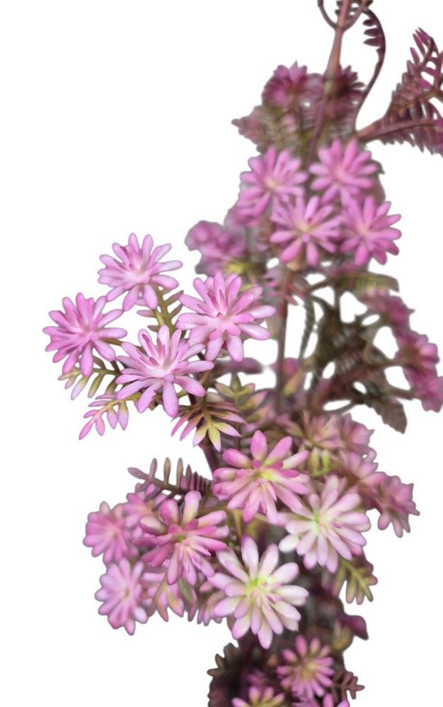KRWAWNIK POSPOLITY 87CM PURPLE