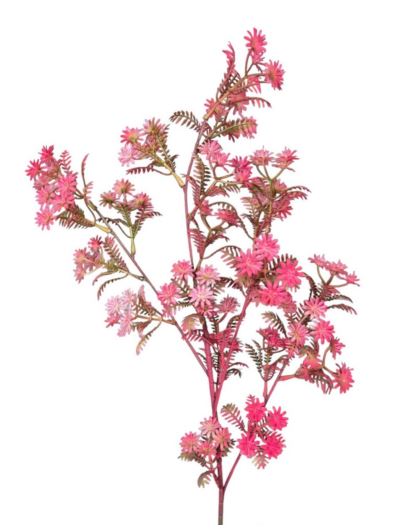 KRWAWNIK POSPOLITY 87CM PINK
