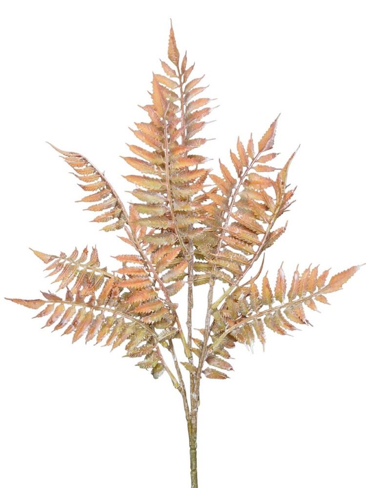 PAPROĆ GAŁĄZKA 50CM ORANGE GREEN