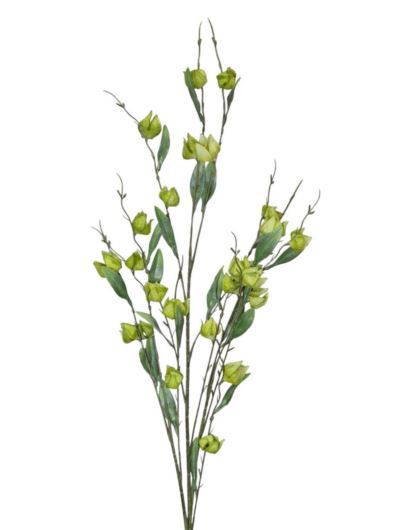 MIECHUNKA MINIATUROWA 107CM LT GREEN