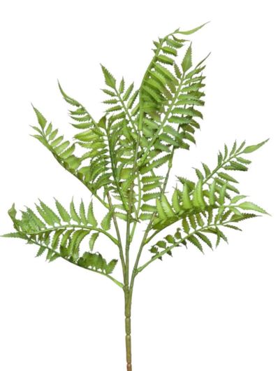 PAPROĆ GAŁĄZKA 50CM GREEN