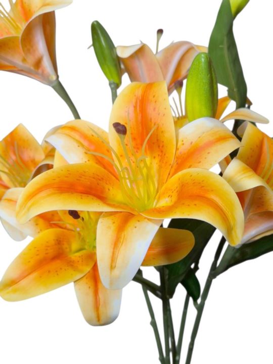 LILIA BUKIET 50CM YELLOW