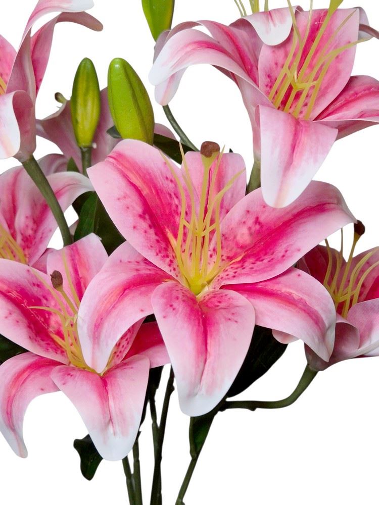 LILIA BUKIET 50CM PINK