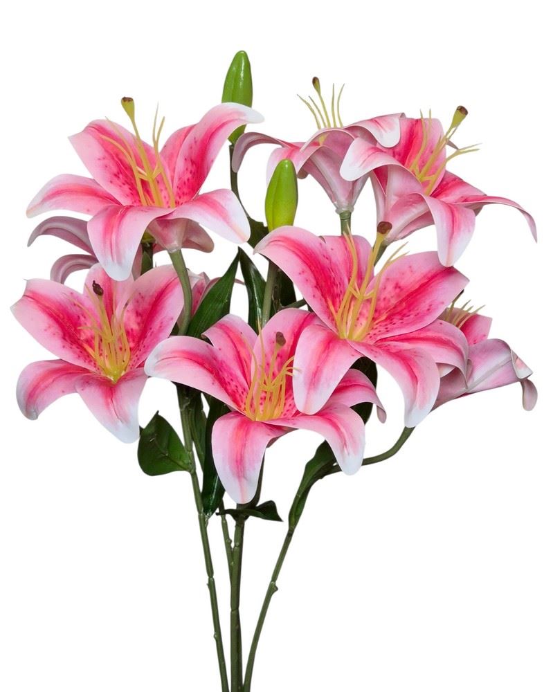 LILIA BUKIET 50CM PINK