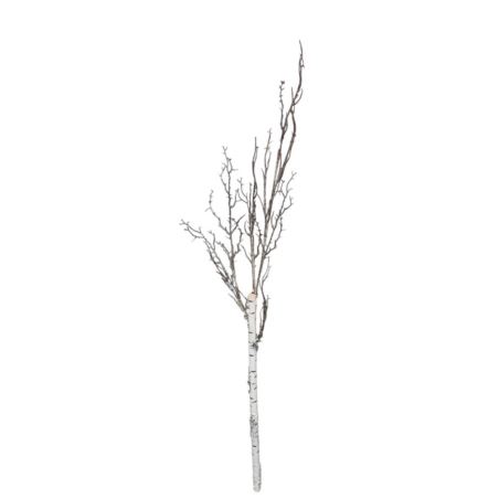 BRZOZA GAŁĄZKA 125CM WHITE BROWN