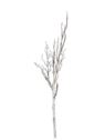 BRZOZA GAŁĄZKA 125CM WHITE BROWN