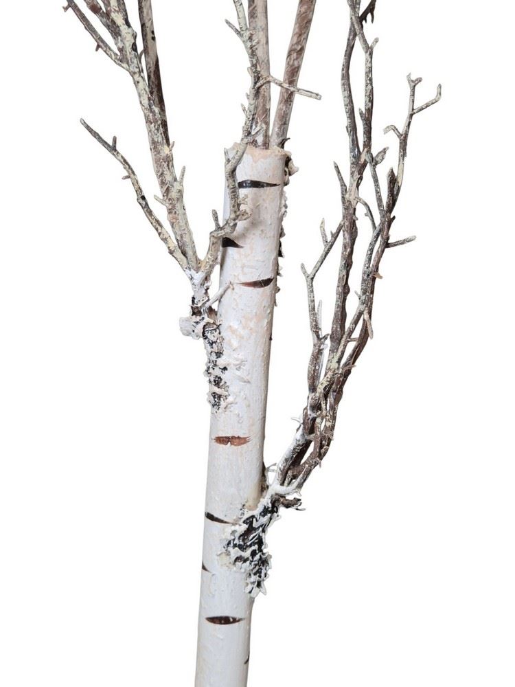 BRZOZA GAŁĄZKA 125CM WHITE BROWN