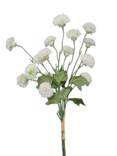 ALIUM MINI CZOSNEK PĘCZEK 53CM WHITE