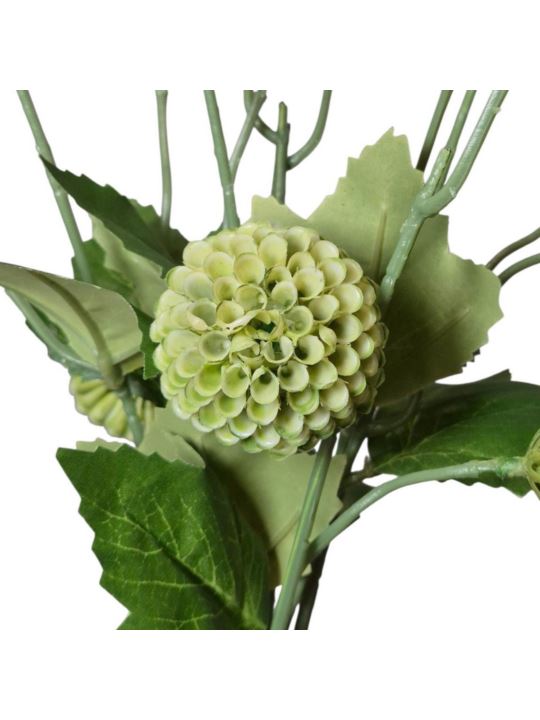 ALIUM MINI CZOSNEK PĘCZEK 53CM GREEN