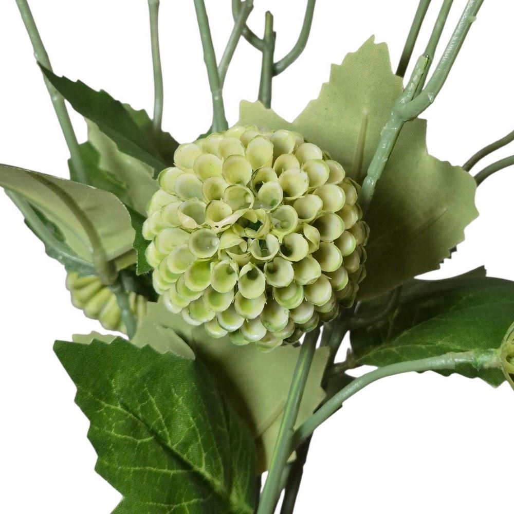 ALIUM MINI CZOSNEK PĘCZEK 53CM GREEN
