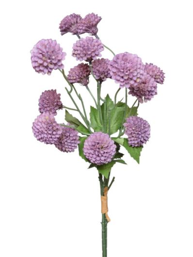ALIUM MINI CZOSNEK PĘCZEK 53CM VIOLET