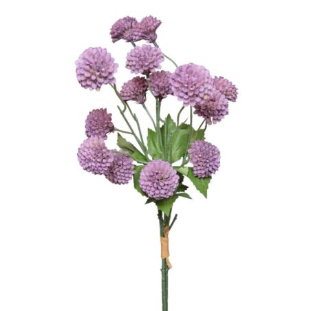 ALIUM MINI CZOSNEK PĘCZEK 53CM VIOLET